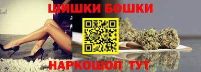 индика Обь