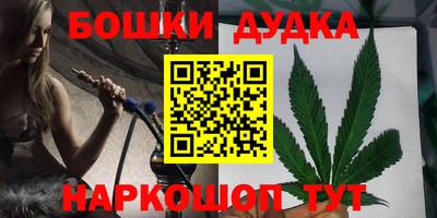 индика Обь