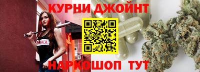 индика Обь